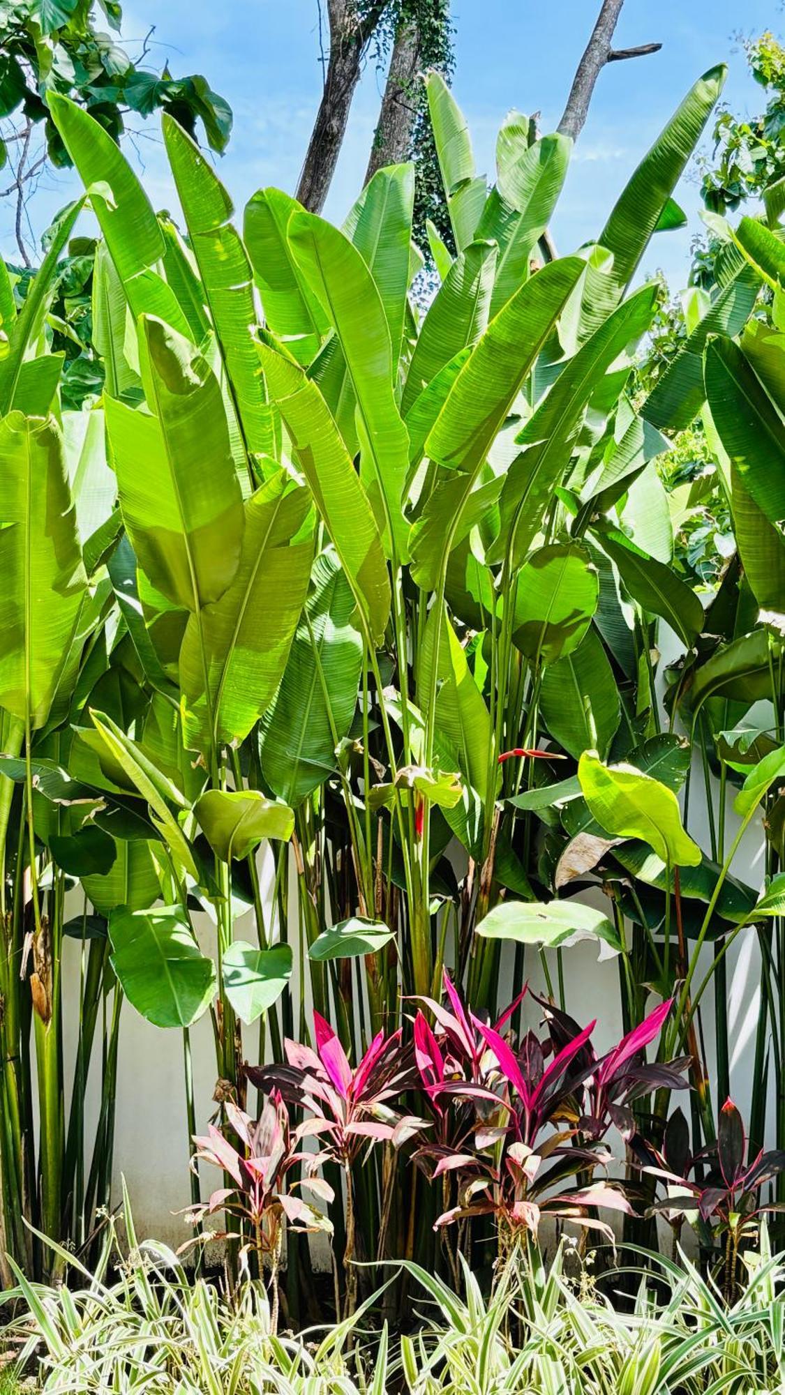 Mantra Wellness Center Hotel Uluwatu Buitenkant foto